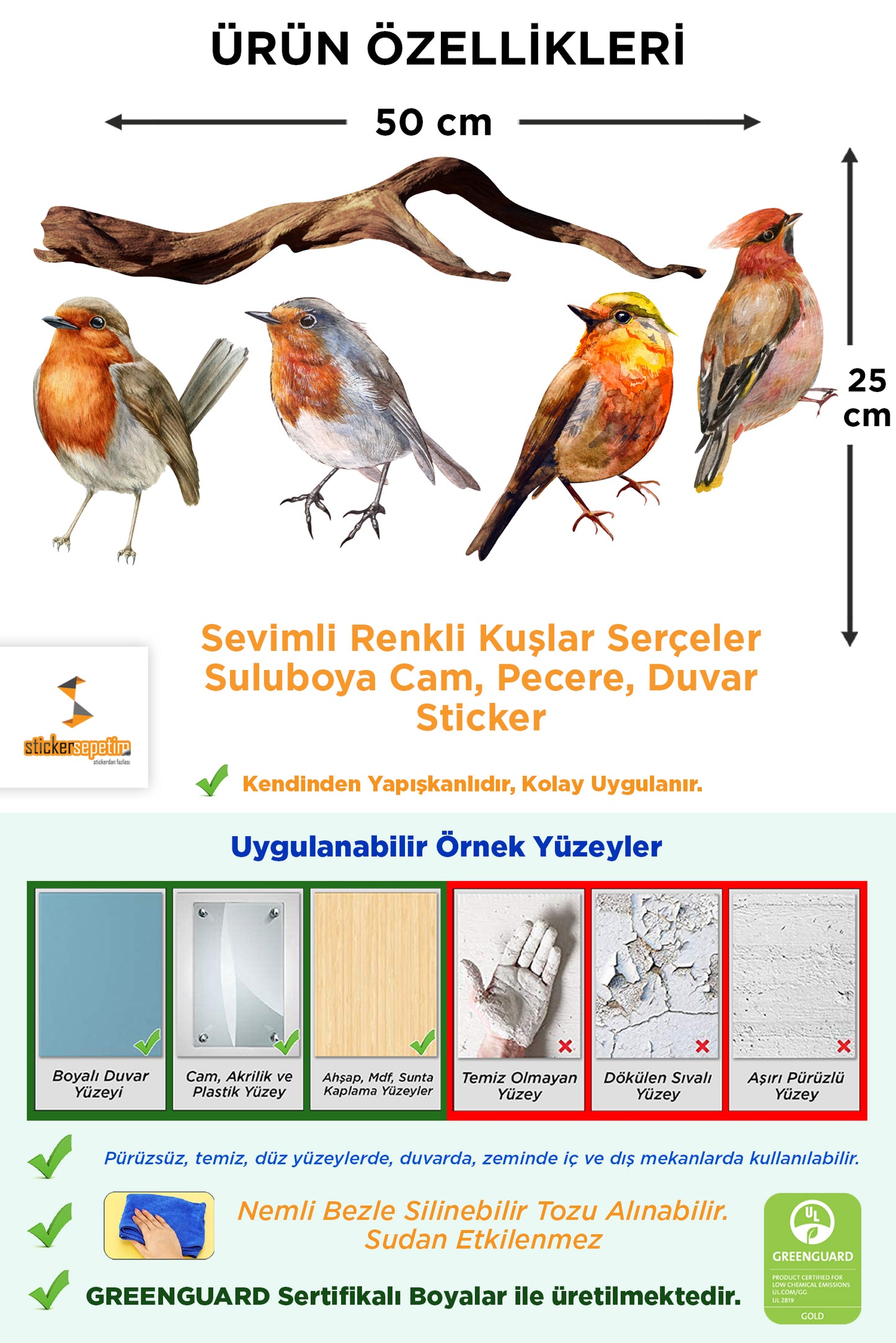 Sevimli Renkli Kuşlar Serçeler Suluboya Cam, Pencere, Duvar Sticker