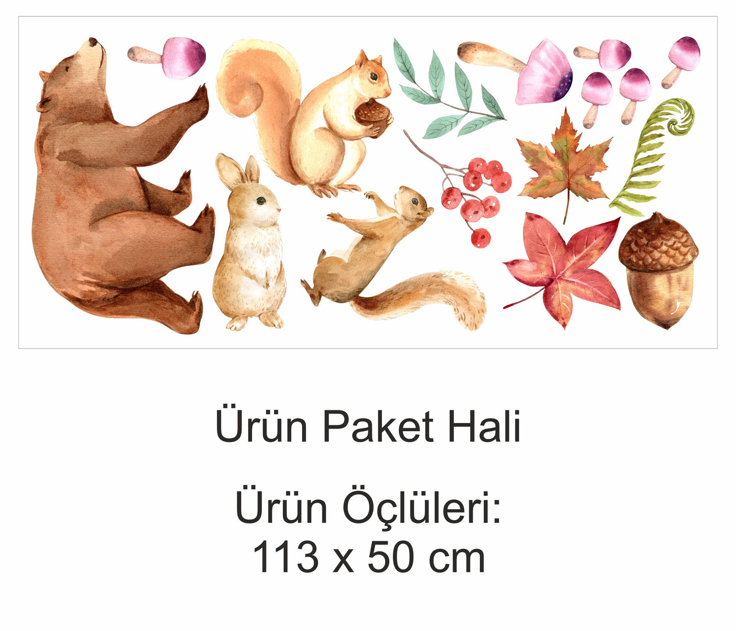 Sulu Boya Sevimli Hayvanlar ve Yapraklar Ayıcık, Tavşan, Sincap, Meşe Palamutu Çocuk Odası Duvar Sticker