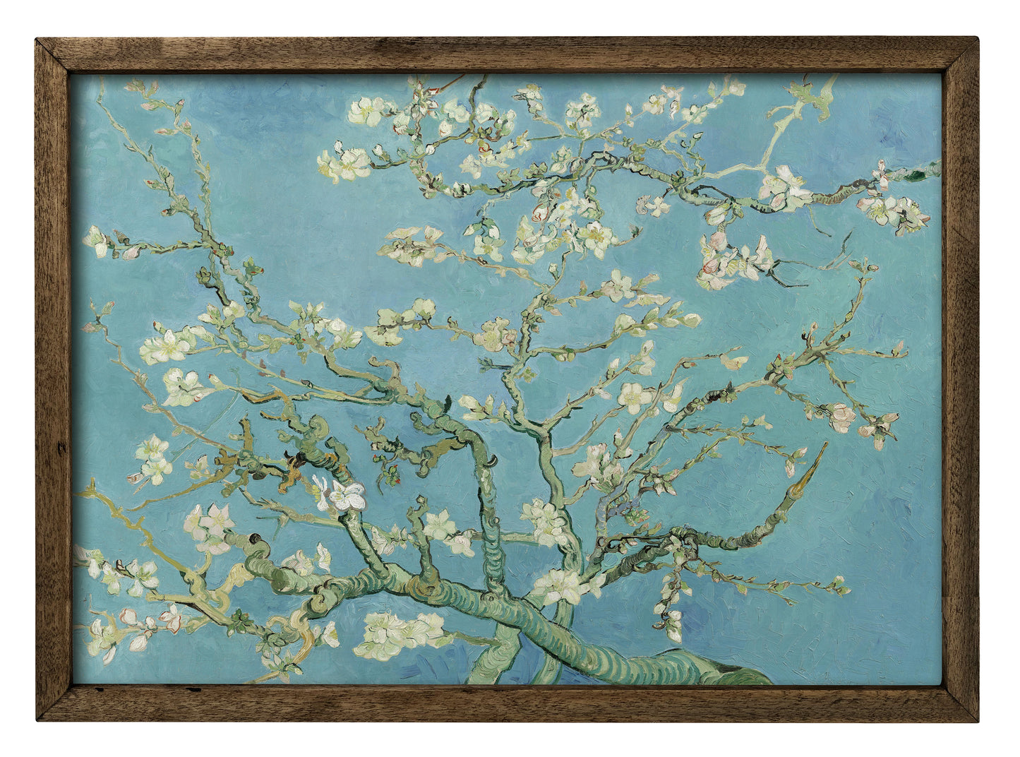 Vincent Van Gogh - Blossoming Almond -Çiçek Açan Badem Ağacı Ahşap Tablo